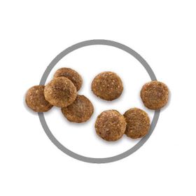 Hill's Science Plan 2.5 kg Puppy Kuzu Etli Yavru Köpek Maması