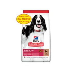 Hills Science Plan Kuzu Etli Orta Irk Yetişkinler İçin 12+2 kg Köpek Maması