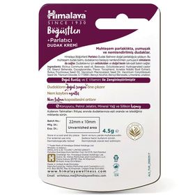 Himalaya Böğürtlen 4.5 gr Parlatıcı Dudak Bakım Kremi