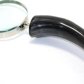 Himarry Boynuz Saplı Büyüteç Dekoratif Hediyelik Eşya