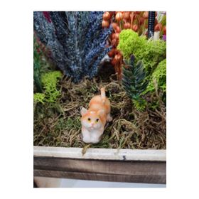 Himi Teraryum Objeleri Kedi Teraryum Minyatür Obje Teraryum Malzemeleri Objeleri