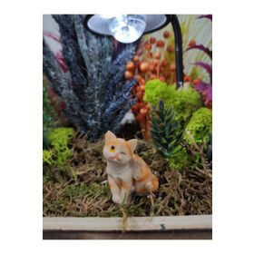 Himi Teraryum Objeleri Kedi Teraryum Minyatür Obje Teraryum Malzemeleri Objeleri