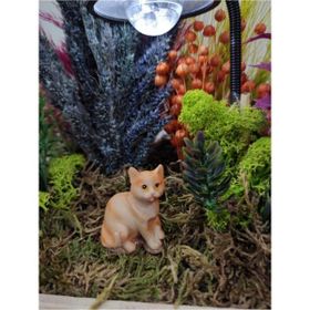 Himi Teraryum Objeleri Kedi Teraryum Minyatür Obje Teraryum Malzemeleri Objeleri