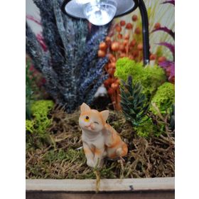 Himi Teraryum Objeleri Kedi Teraryum Minyatür Obje Teraryum Malzemeleri Objeleri