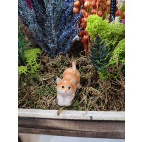 Himi Teraryum Objeleri Kedi Teraryum Minyatür Obje Teraryum Malzemeleri Objeleri