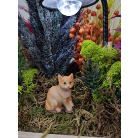 Himi Teraryum Objeleri Kedi Teraryum Minyatür Obje Teraryum Malzemeleri Objeleri