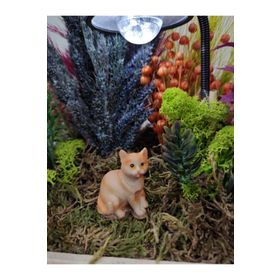 Himi Teraryum Objeleri Kedi Teraryum Minyatür Obje Teraryum Malzemeleri Objeleri