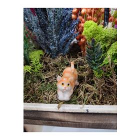 Himi Teraryum Objeleri Kedi Teraryum Minyatür Obje Teraryum Malzemeleri Objeleri