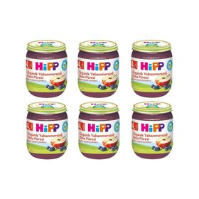 Hipp 4+ Ay 6x125 gr Organik Yaban Mersinli Elma Püresi Kavanoz Maması