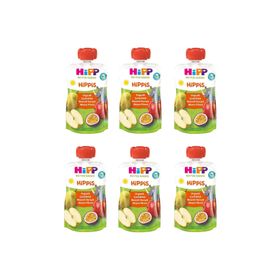 Hipp Organik Çarkıfelek Meyveli 6x100 gr Karışık Meyve Püresi