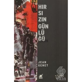 HIRSIZIN GÜNLÜĞÜ - JEAN GENET