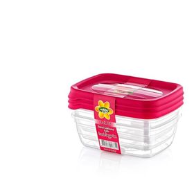 Hobby Life 21014 3'lü Trend 300 ml Saklama Kabı