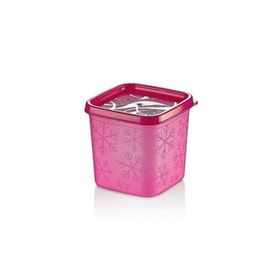 Hobby Life 21156 Alaska Nofrost 6lı 380 ml Saklama Kabı