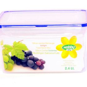 Hobby Life Plastik 2.4 Lt Dikdörtgen Sızdırmaz Saklama Kabı
