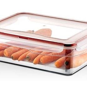 Hobby Life Plastik 4.3 Lt Dikdörtgen Sızdırmaz Saklama Kabı