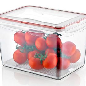 Hobby Life Plastik 9 Lt Dikdörtgen Sızdırmaz Saklama Kabı