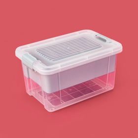 Hobby Life Stormax Asorti 2.5 lt Bölmeli Organizer Kutu