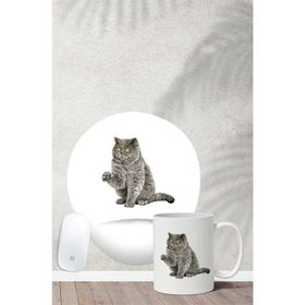 Hobi Shop British Shorthair Desenli Bilek Destekli Mouse Pad Kupa Seti