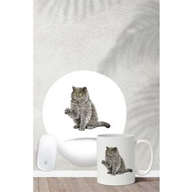 Hobi Shop British Shorthair Desenli Bilek Destekli Mouse Pad Kupa Seti