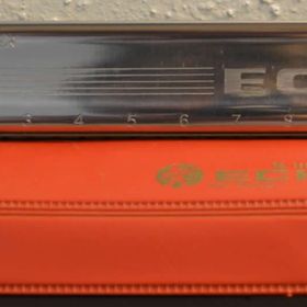 Hohner Echo 40 Harmonika