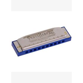 Hohner M2103X Pentaharp D Minör Mızıka