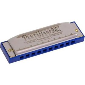 Hohner M2103X Pentaharp D Minör Mızıka