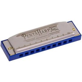 Hohner M2103X Pentaharp D Minör Mızıka