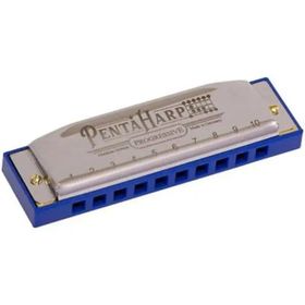 Hohner M2103X Pentaharp D Minör Mızıka