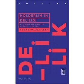 Hölderlin'in Deliliği - Giorgio Agamben