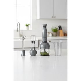 Homend Handmaid 1967H Antrasit Siyah Blender Set