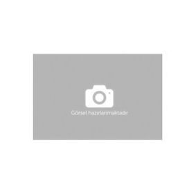 Honda CBR 250R Çantalı Motosiklet Motor Koruma Brandası