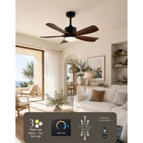 Hoogar German 105 cm 5 Kanatlı Black Brown Tavan Vantilatörü