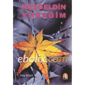 Hoş Geldin Yüreğim - Elifsu Keser