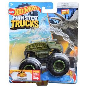 Hot Wheels FYJ44-HCP44 Monster Trucks 1:64 Araba