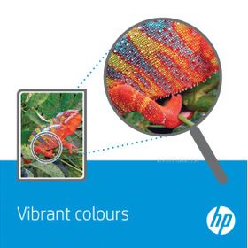 HP C8773EE Kartuş