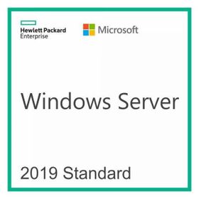 HP P11058-B21 2019 Standart ROK Windows Server