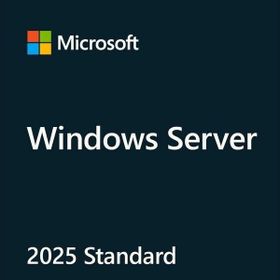 HPE P77100-A21 2025 Standart ROK Windows Server