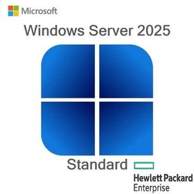 HPE P77100-A21 2025 Standart ROK Windows Server