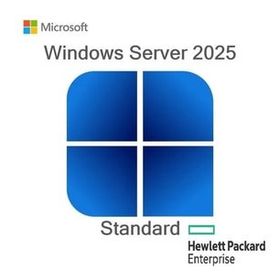 HPE P77100-A21 2025 Standart ROK Windows Server