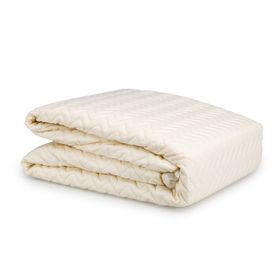 Hsn Home 120x200 cm Tek Kişilik Sıvı Geçirmez Alez