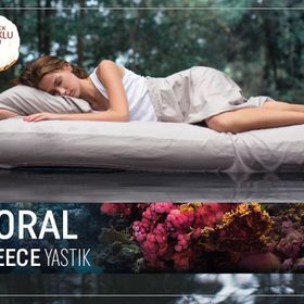 Hsn Home Coral Fleece Yastık