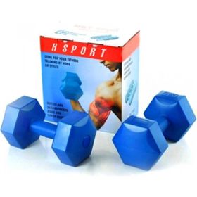 Hsport Yüksek Kalite Demir Tozu 2x2 kg Mavi Dambıl