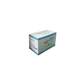 HuaLong 0.20x13 mm Steril Akupunktur İğnesi