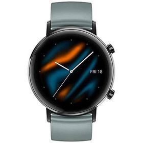 Huawei Watch GT 2 42 mm Akıllı Saat