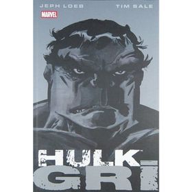 Hulk - Gri - Jeph Loeb Tim Sale