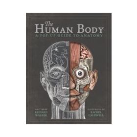 Human Body : A Pop-Up Guide To Anatomy - Richard Walker