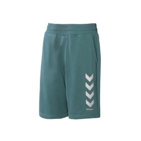 Hummel 931152-1016 Yeşil Kens Erkek Şort