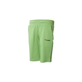 Hummel 931413-2110 Yeşil Erkek Çocuk Şort