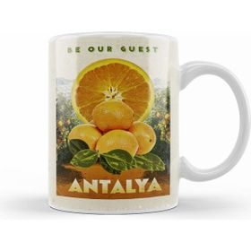 Humuts Antalya ve Portakallar Kupa Bardak