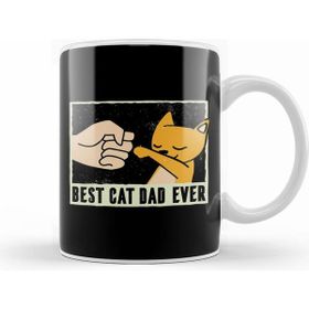 Humuts Best Cat Dad Ever Funny Cat Daddy Father Day Vintage 09 Kupa Bardak